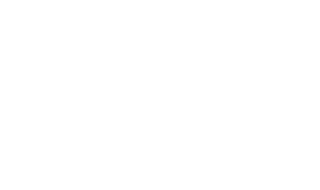 Nara Water logo